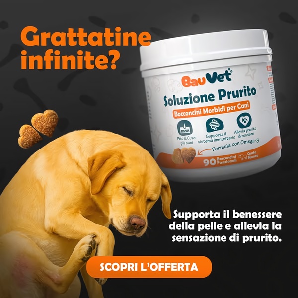 This 1:1 square ad creative uses a relatable problem-aware hook to address canine skin irritation, featuring the product benefits alongside a suffering pet.
